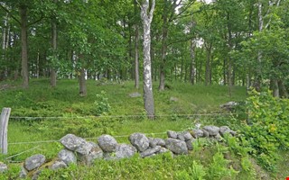 Ovanlig försäljning – nu kan du köpa skog i Kungsbacka 