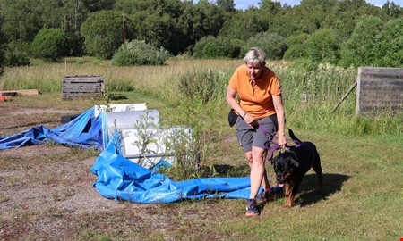 Fartfyllda grenar för hundar väntar i Kungsbacka