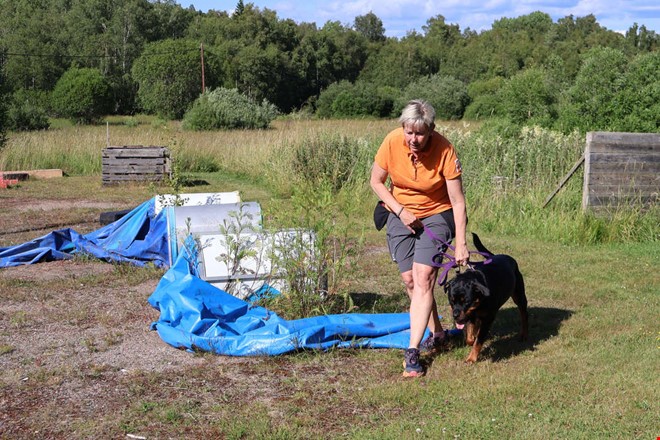 Fartfyllda grenar för hundar väntar i Kungsbacka