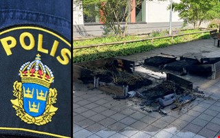 Tolv pallkragar uppeldade vid skola – utredning läggs ned