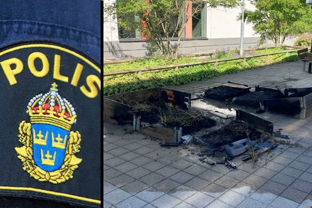 Tolv pallkragar uppeldade vid skola – utredning läggs ned Tolv pallkragar uppeldade vid skola – utredning läggs ned