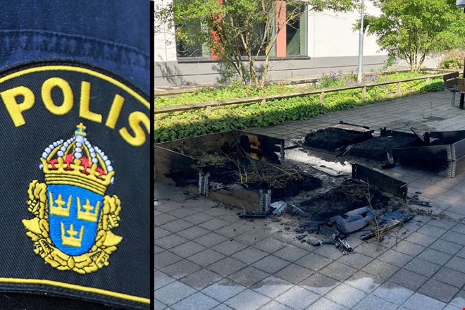 Tolv pallkragar uppeldade vid skola – utredning läggs ned