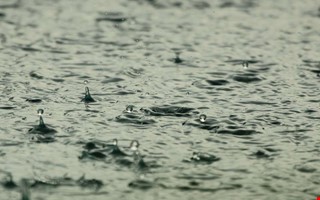 Risk för extra mycket regn i Halland under söndagen