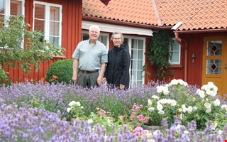 Två olika trädgårdar öppnade för besökare