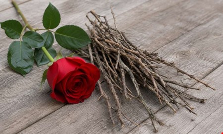 Många hyllas i senaste tidens dagens ros – finns du med?