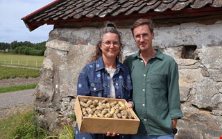 Josefina odlar potatis – precis som mormor på 60-talet