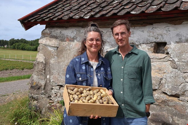 Josefina odlar potatis – precis som mormor på 60-talet
