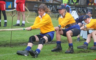 Medaljsuccé för Sverige i dragkamps-EM