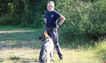 Tricks till musik – hundsporten freestyle lockade till prova på 