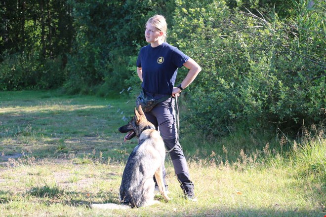 Tricks till musik – hundsporten freestyle lockade till prova på 