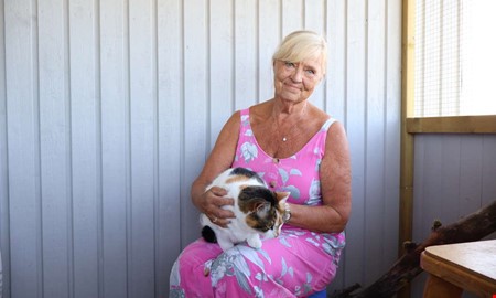 Här checkar katterna in – pensionären öppnade eget