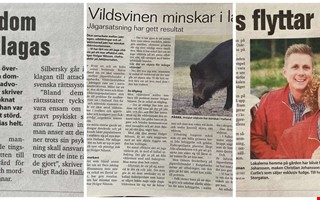 10 år sedan: Morddom, vildsvin och ny butik