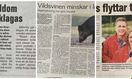 10 år sedan: Morddom, vildsvin och ny butik