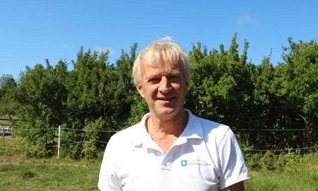 Undviker skräckfilmer – drömmer om På spåret
