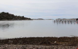 Debatt: Örsviken förorenas av kommunen 