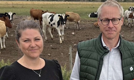 Debatt: Fler betande kor i Halland 