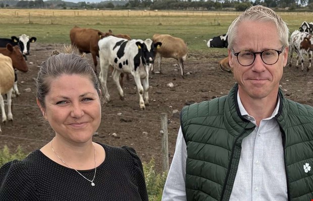 Debatt: Fler betande kor i Halland 