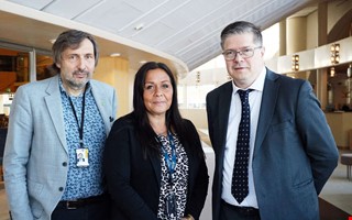 Kartläggning: Så flitiga är de lokala namnen i riksdagen