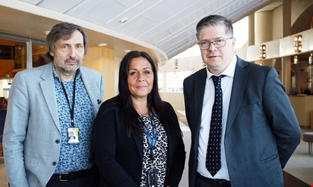 Kartläggning: Så flitiga är de lokala namnen i riksdagen