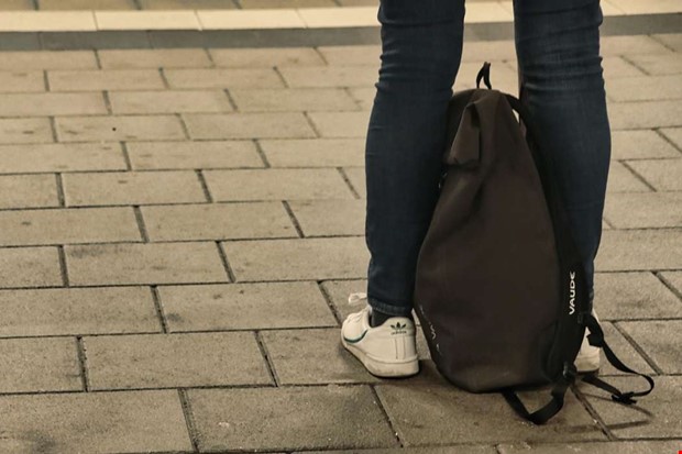 Debatt: Miljöpartiet tänker större 