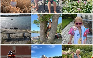 Härliga sommarbilder i årets fototävling – här är vinnaren