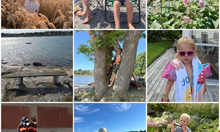 Härliga sommarbilder i årets fototävling – här är vinnaren