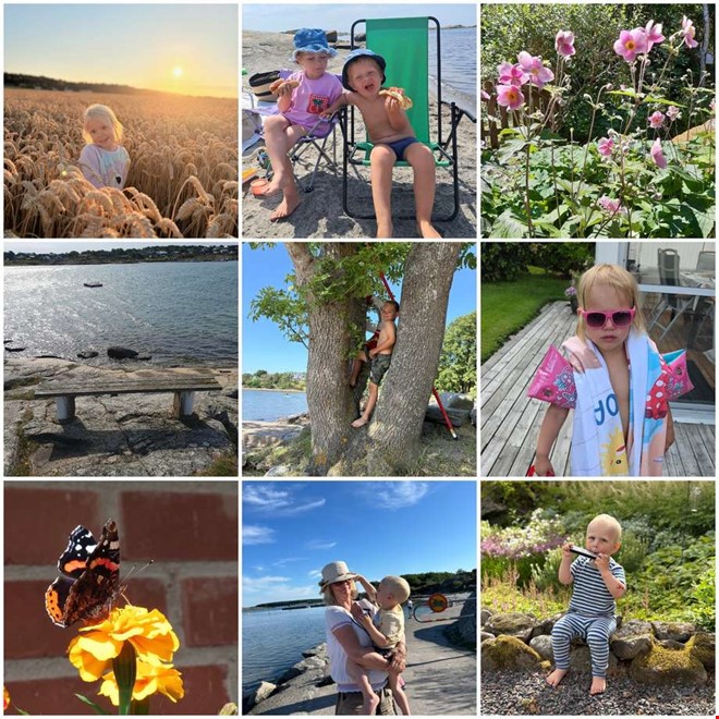 Härliga sommarbilder i årets fototävling – här är vinnaren