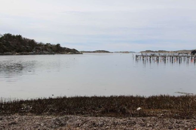 Debatt: Lovande för Örsviken 