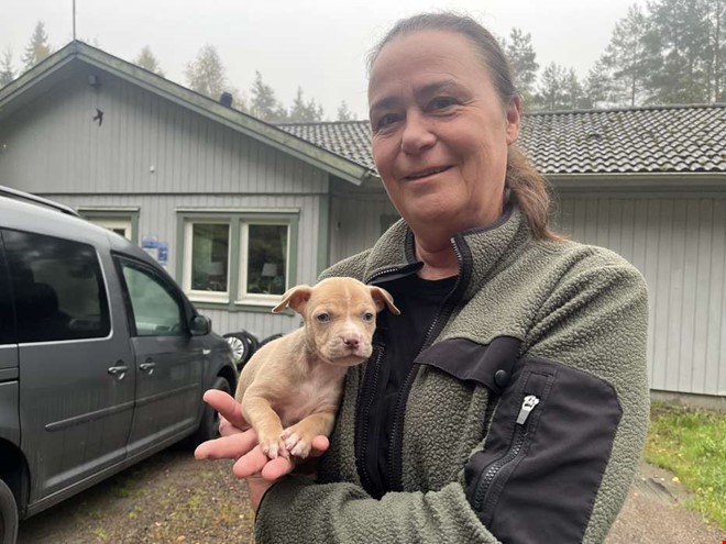 Fem veckor gammal valp dumpad i skogen: 