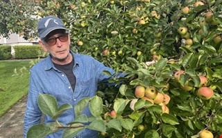 Åsabon ger bort flera hundra kilo frukt: 