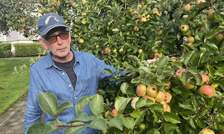 Åsabon ger bort flera hundra kilo frukt: 