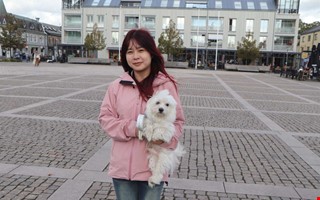 Veterinären varnar: De här höstfynden kan vara farliga för hundar