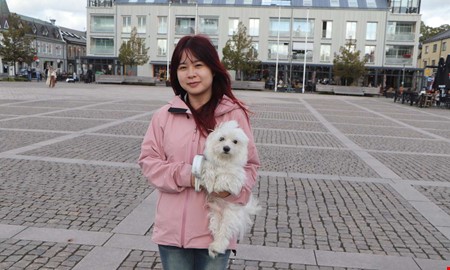Veterinären varnar: De här höstfynden kan vara farliga för hundar
