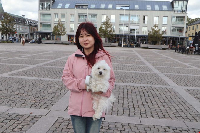 Veterinären varnar: De här höstfynden kan vara farliga för hundar