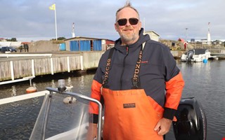 Gott om hummer i Kungsbacka: ”Har gått rakt uppåt”