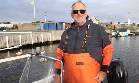 Gott om hummer i Kungsbacka: ”Har gått rakt uppåt”