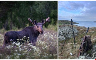 Älgjakten igång i Kungsbacka – så gick premiärdagen