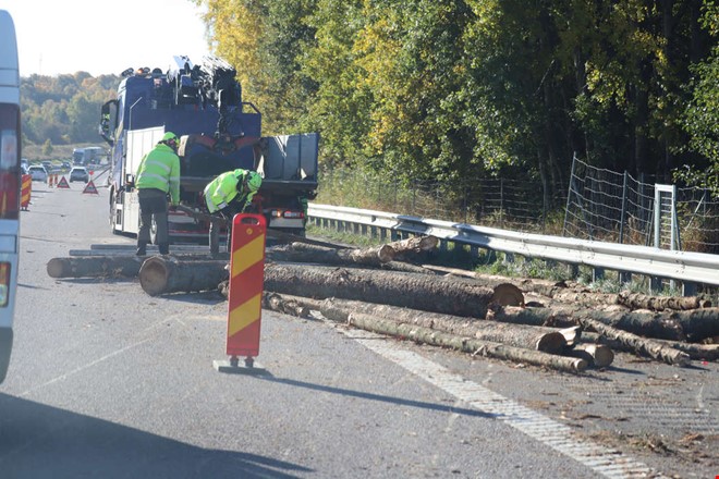 Lastbil med timmer har vält – E6 avstängd