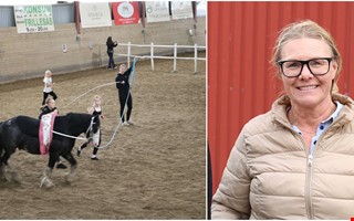 Ridklubben sågar rapporten: ”Gör om, gör rätt” 
