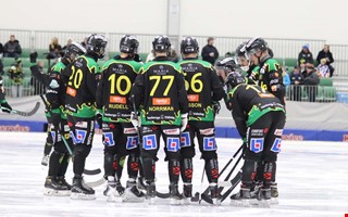 FBK lånar in talanger: Kan debutera omgående