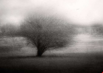 10. On the meadow, Katarina Holmstrm. 