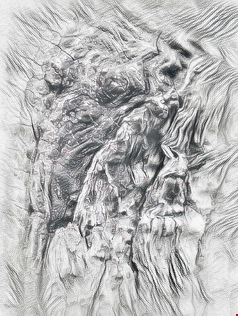 21. Trollen i trdet, Kristina Eriksson. 