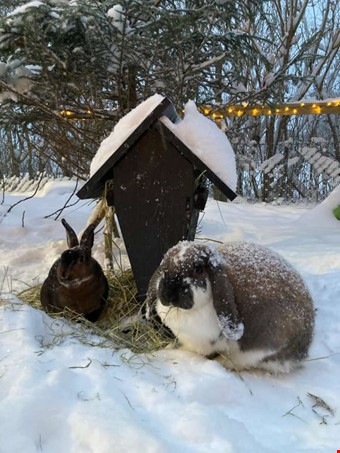 Foto: Ida Gustafsson