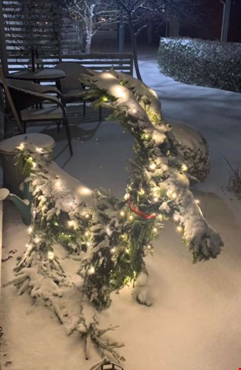 Foto: Maria Mrtensson