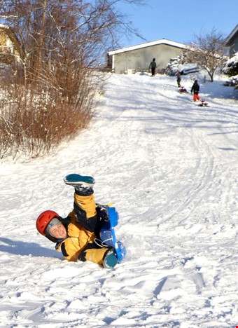 6-rige Eskil Thorn Bdersj i stilstudie.