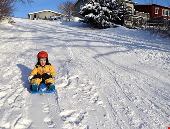 6-rige Eskil Thorn Bdersj i stilstudie.