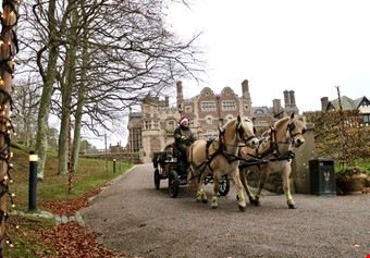 Den som ville kunde ta en tur med hst och vagn runt godset.