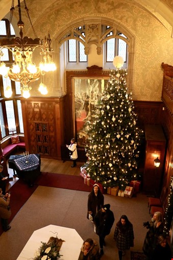 Granen str s grn och grann i slottet.