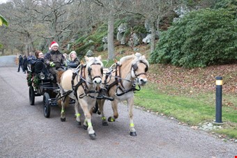 Den som ville kunde ta en tur med hst och vagn runt godset.